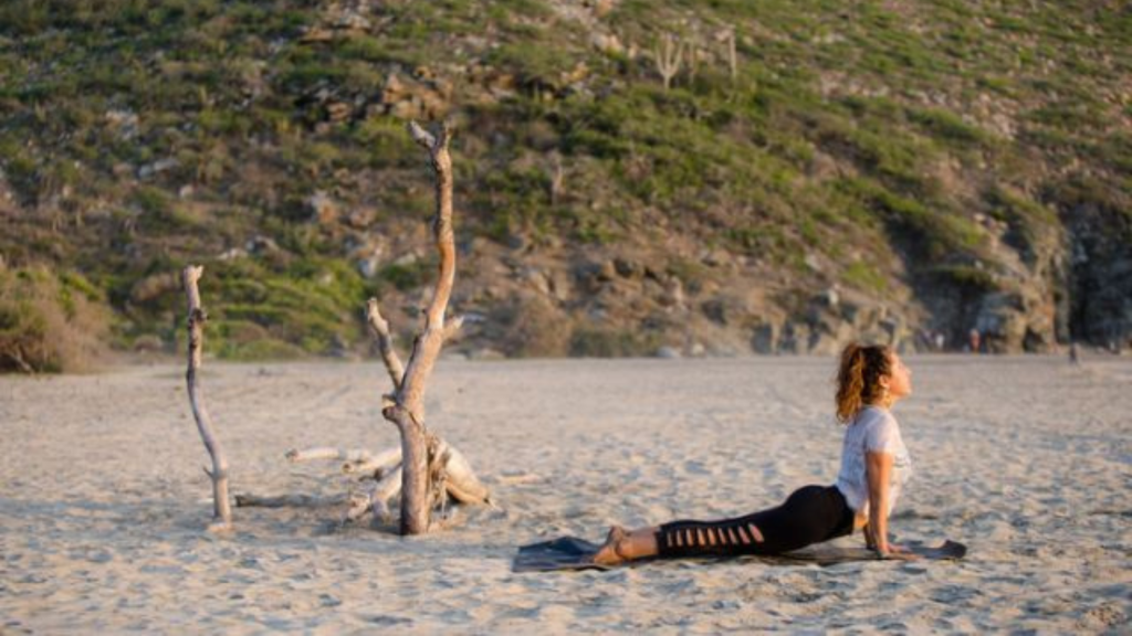 turismo metafisico en FROW Coolture